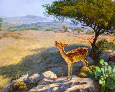 Why should we love the Psalms?