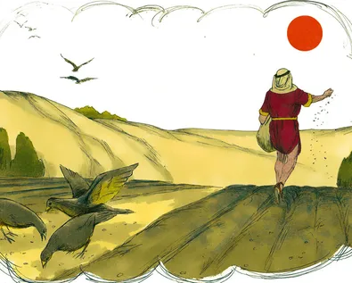 'The problem isn't the seed, it's the soil'