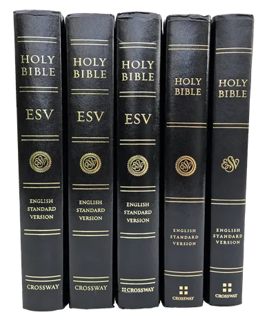 Bible sales are up & ESV is best-selling