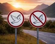 Spiritual gifts: A nuanced position worth learning from?