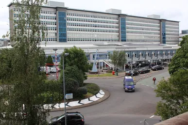 Wales pauses gender reassignment surgeries