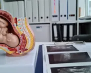 Abortion – what about the hard cases?