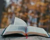 Towards a more Biblical understanding of worship