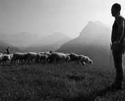 Biblical meekness: The key to good leadership?
