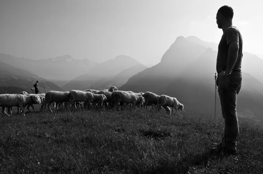 Biblical meekness: The key to good leadership?