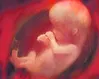 This abortion law change is evil, pure and simple
