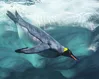 A Wesley hymn on penguins?