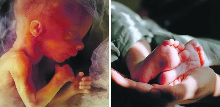 Decriminalising abortion  ‘profoundly irresponsible’