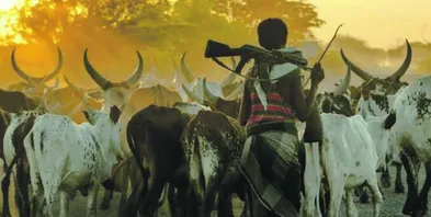 Nigeria: Lesser known terror groups have ‘tacit approval’