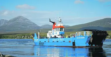 Hobbies: Some ferry  important questions...