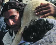 Lead on Good Shepherd