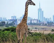 My great-grandfather was a murderer