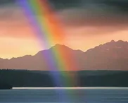 Pride month: Is culture telling more of  the Beautiful Story?