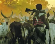 Nigeria: Lesser known terror groups have ‘tacit approval’