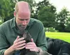 Have we got dogs and human beings mixed up?