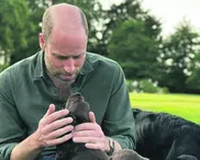 Have we got dogs and human beings mixed up?
