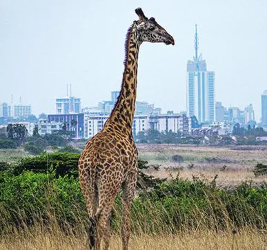 My great-grandfather was a murderer