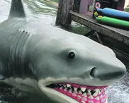 Autonomy: The rubber shark of our age?