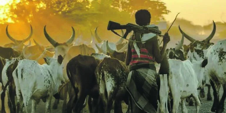 Nigeria: Lesser known terror groups have ‘tacit approval’