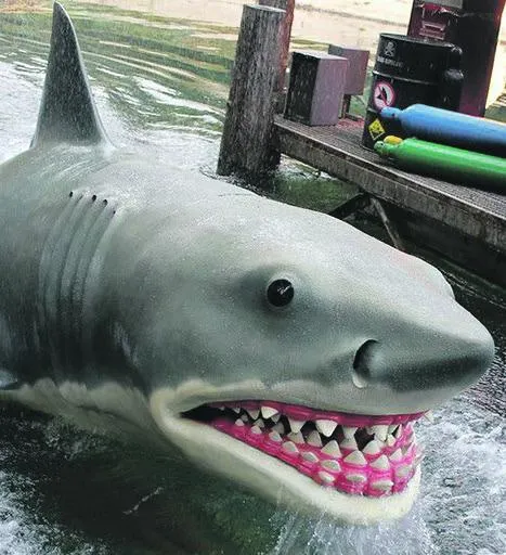 Autonomy: The rubber shark of our age?