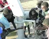 Ivory Coast drillers bring water of life