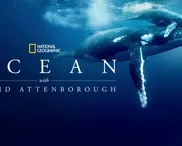 Attenborough's Ocean asks: What are we doing here?