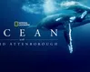 Attenborough's Ocean asks: What are we doing here?