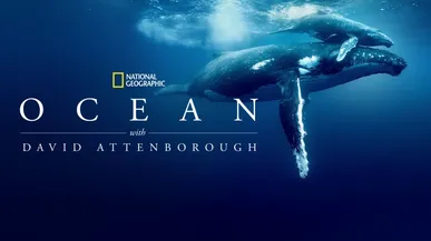 Attenborough's Ocean asks: What are we doing here?