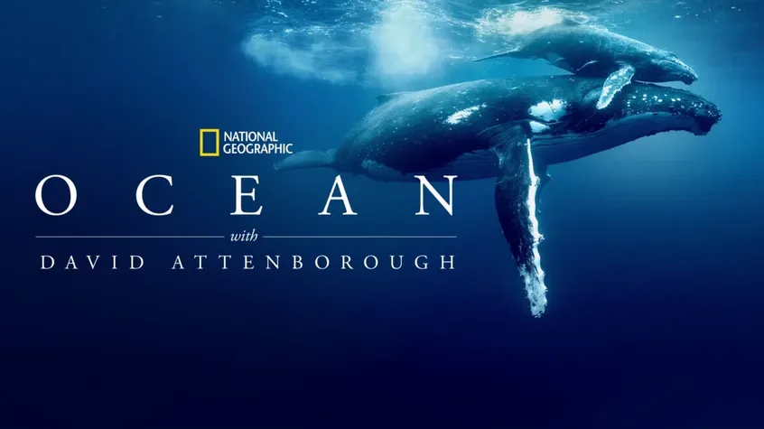 Attenborough's Ocean asks: What are we doing here?