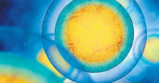 The amazing living cell | Evangelicals Now