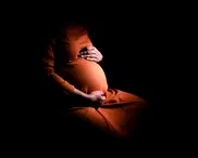 One-year-old euthanised in Netherlands
