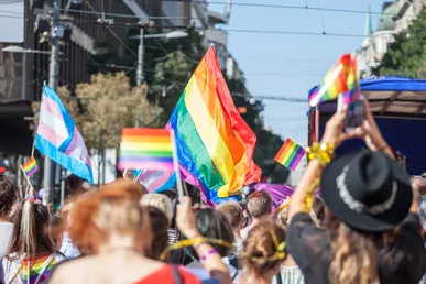 Conversion therapy bill is 'badly drafted'
