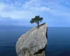 How do we grow resilient?