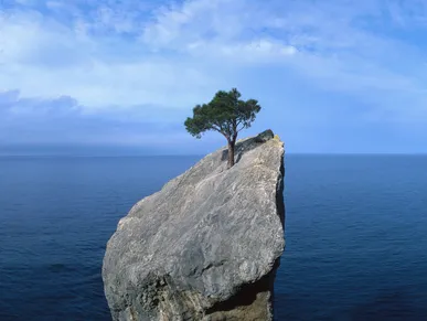 How do we grow resilient?