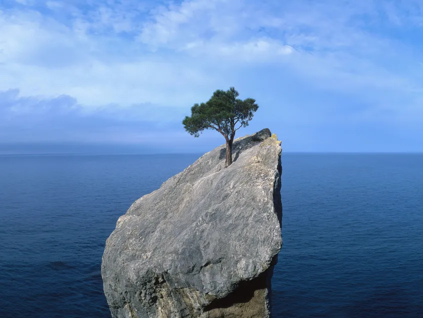 How do we grow resilient?