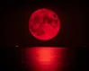 The end of the world will be livestreamed