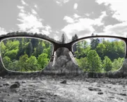 Wearing our metaphorical  ‘majesty specs’ each day