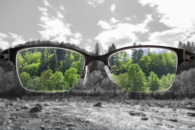 Wearing our metaphorical  ‘majesty specs’ each day
