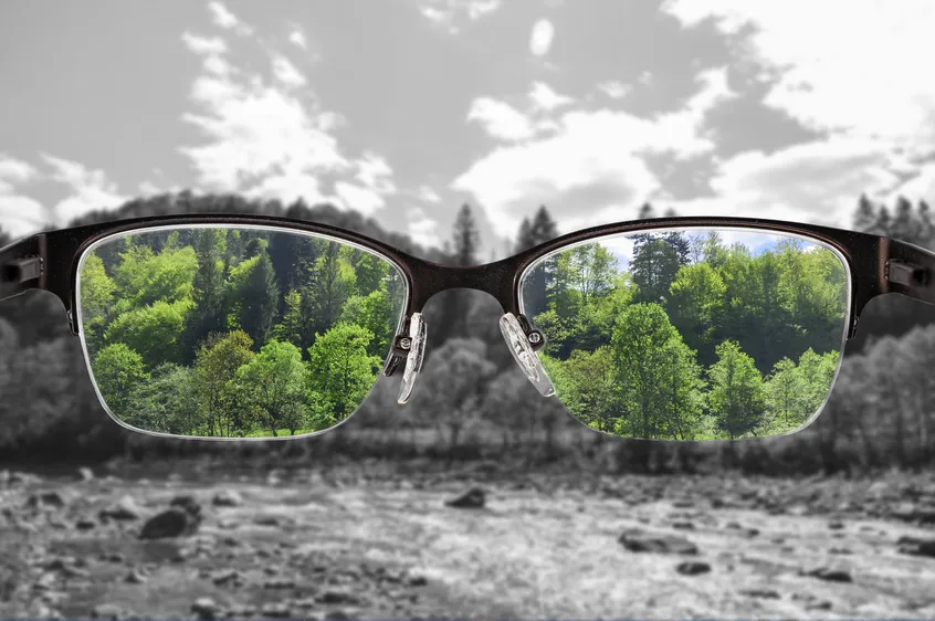 Wearing our metaphorical  ‘majesty specs’ each day