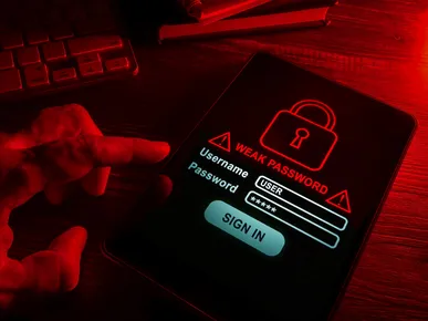 Why a good password is good stewarding