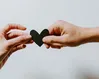 How can we guard our hearts?