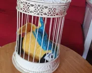 Why I took a stuffed parrot to CofE Synod