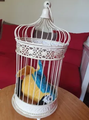 Why I took a stuffed parrot to CofE Synod