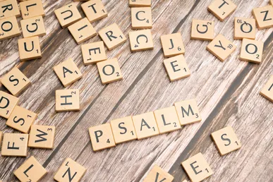 Peter meditated on the Psalms and we should too