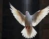 Jesus depended on the Holy Spirit, too