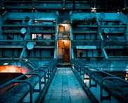 In a divided world, what does unity look like?